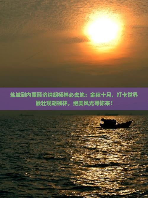 盐城到内蒙额济纳胡杨林必去地