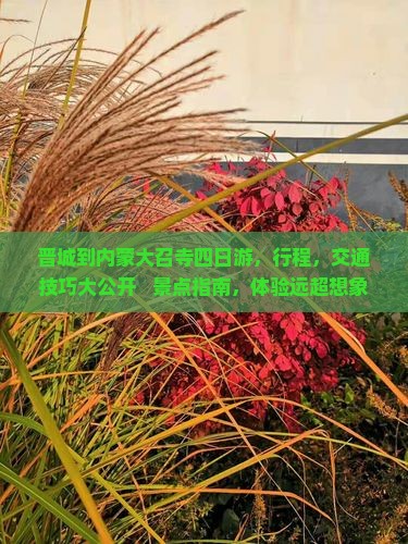 晋城到内蒙大召寺四日游