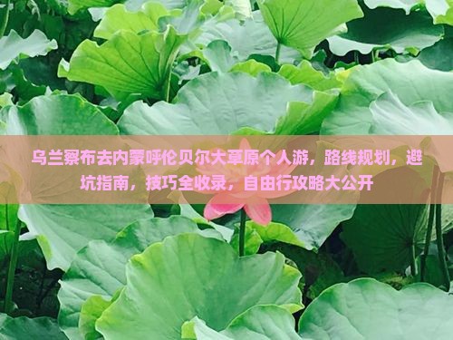 乌兰察布去内蒙呼伦贝尔大草原个人游