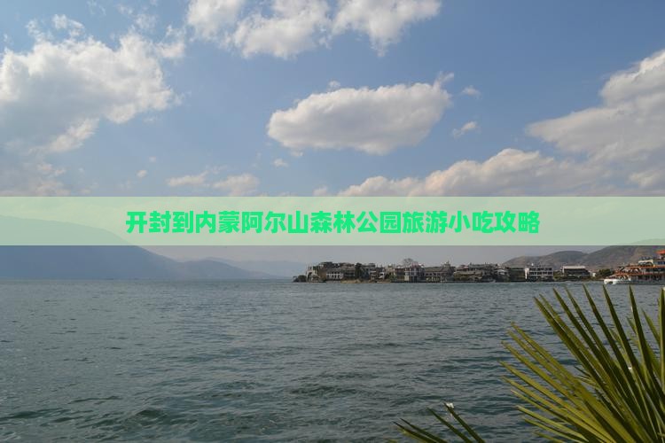 开封到内蒙阿尔山国家森林公园旅游小吃