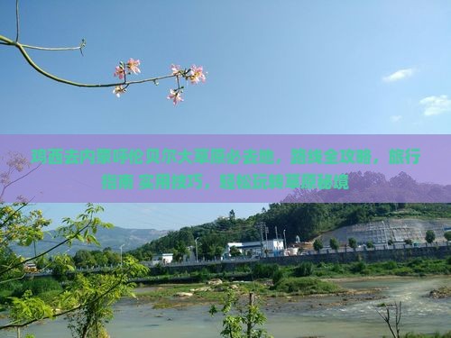 鸡西去内蒙呼伦贝尔大草原必去地