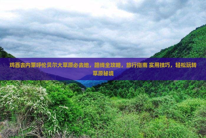 鸡西去内蒙呼伦贝尔大草原必去地