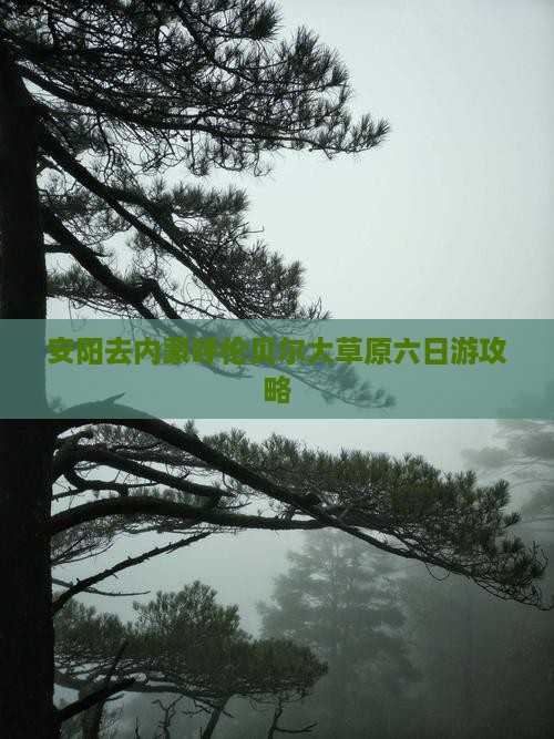 安阳去内蒙呼伦贝尔大草原六日游