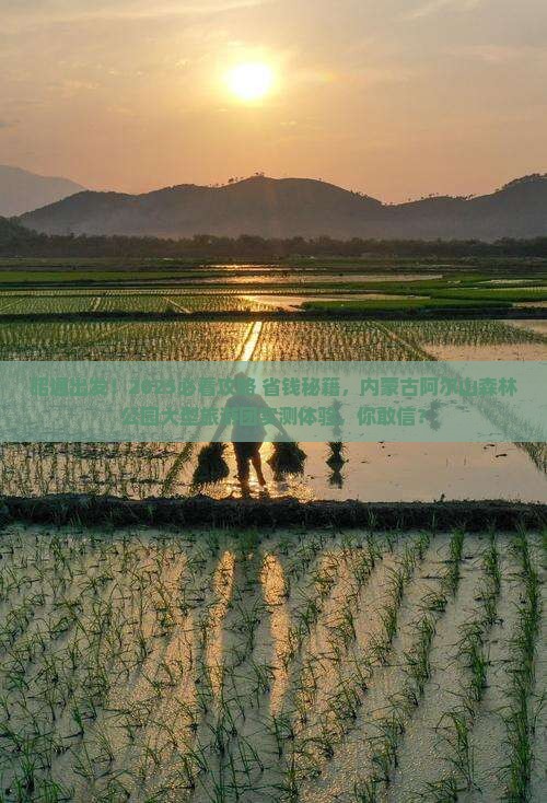 昭通到内蒙阿尔山国家森林公园大型旅游团
