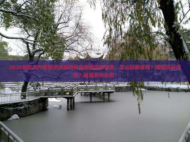 哈密去内蒙额济纳胡杨林自由团
