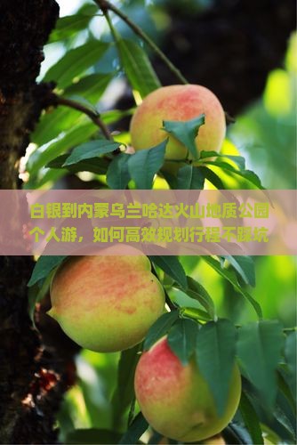 白银到内蒙乌兰哈达火山地质公园个人游