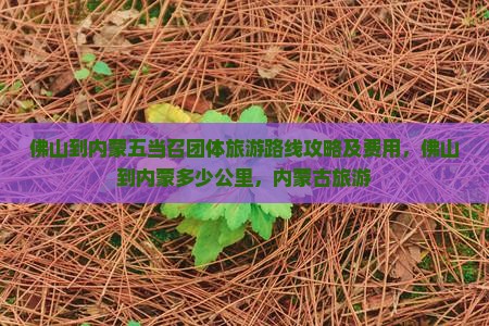佛山到内蒙五当召团体旅游