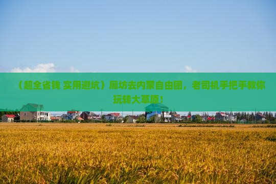 廊坊去内蒙自由团