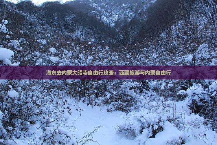 海东去内蒙大召寺自由行