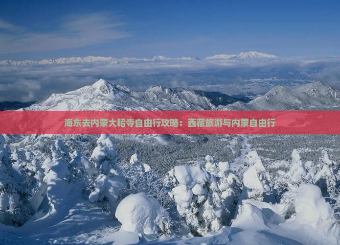 海东去内蒙大召寺自由行