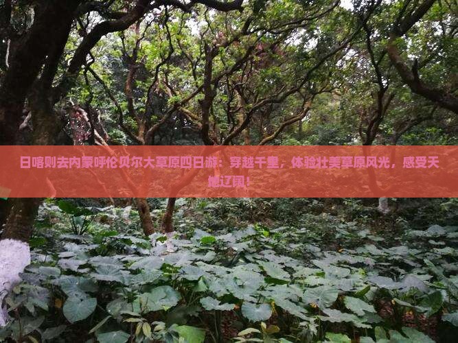 日喀则去内蒙呼伦贝尔大草原四日游