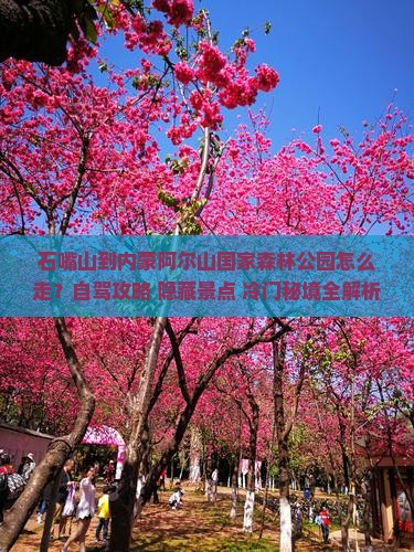 石嘴山到内蒙阿尔山国家森林公园攻略