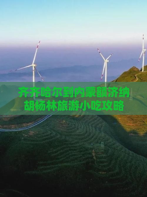 齐齐哈尔到内蒙额济纳胡杨林旅游小吃