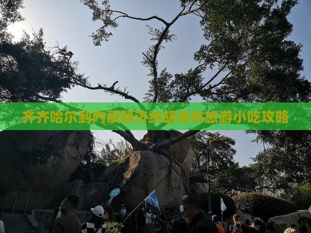 齐齐哈尔到内蒙额济纳胡杨林旅游小吃
