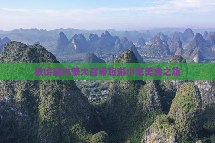 铁岭到内蒙大召寺旅游小吃