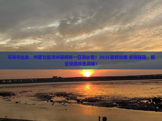 乌海市去内蒙额济纳胡杨林一日游
