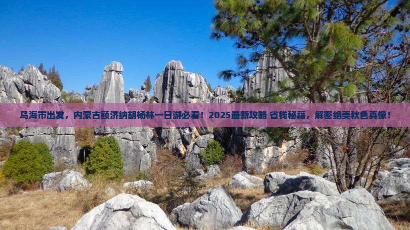 乌海市去内蒙额济纳胡杨林一日游