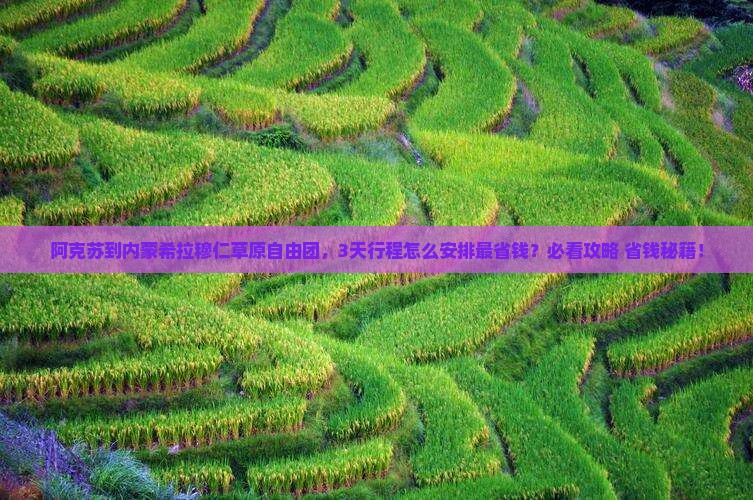 阿克苏到内蒙希拉穆仁草原自由团