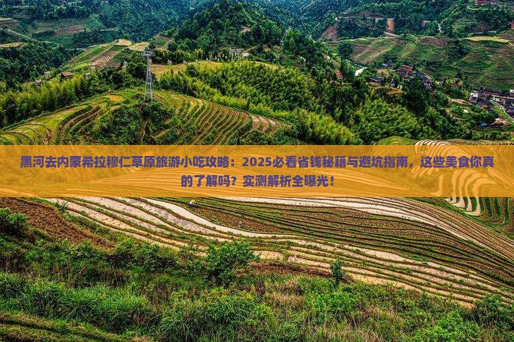 黑河去内蒙希拉穆仁草原旅游小吃