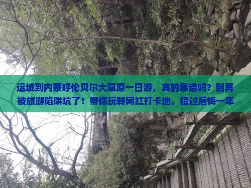 运城到内蒙呼伦贝尔大草原一日游