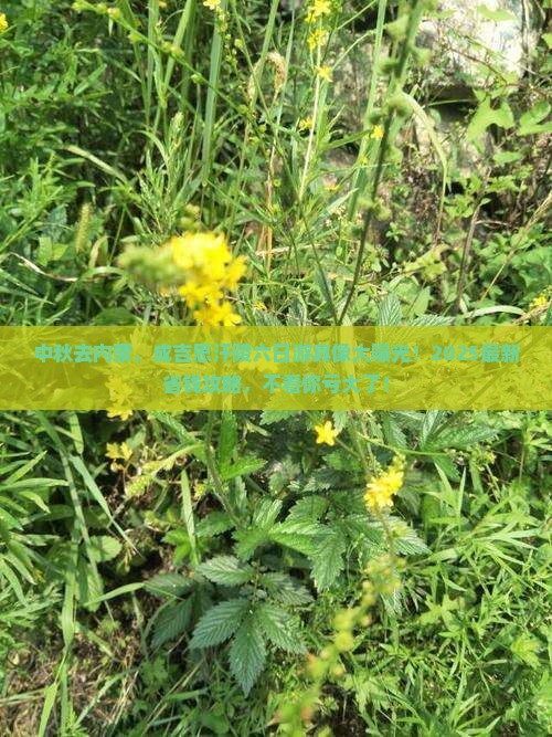 中秋节去内蒙成吉思汗陵六日游