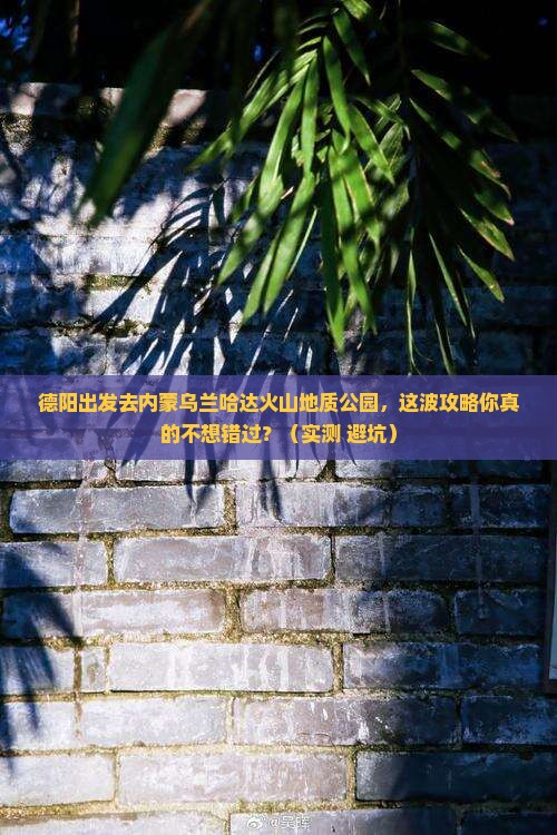 德阳去内蒙乌兰哈达火山地质公园攻略