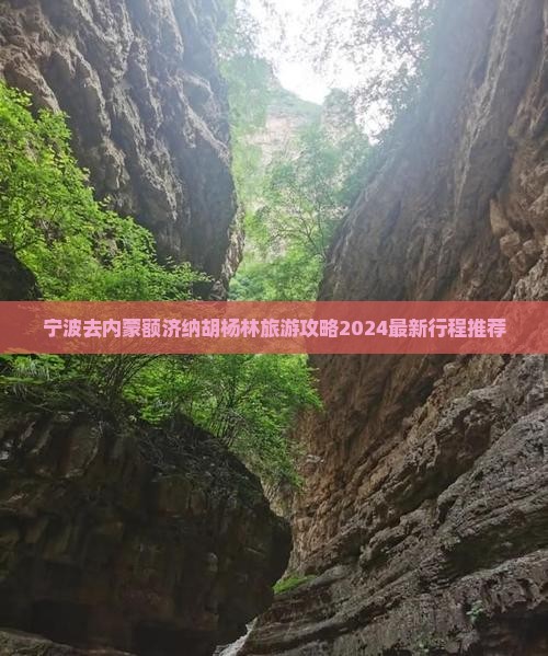 宁波去内蒙额济纳胡杨林旅游