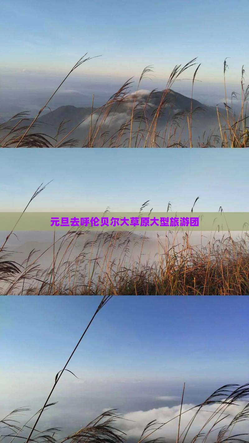 元旦去内蒙呼伦贝尔大草原大型旅游团