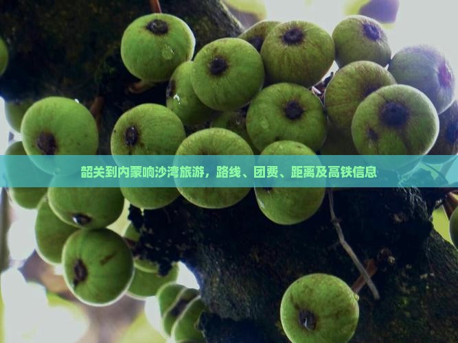 韶关到内蒙响沙湾旅游