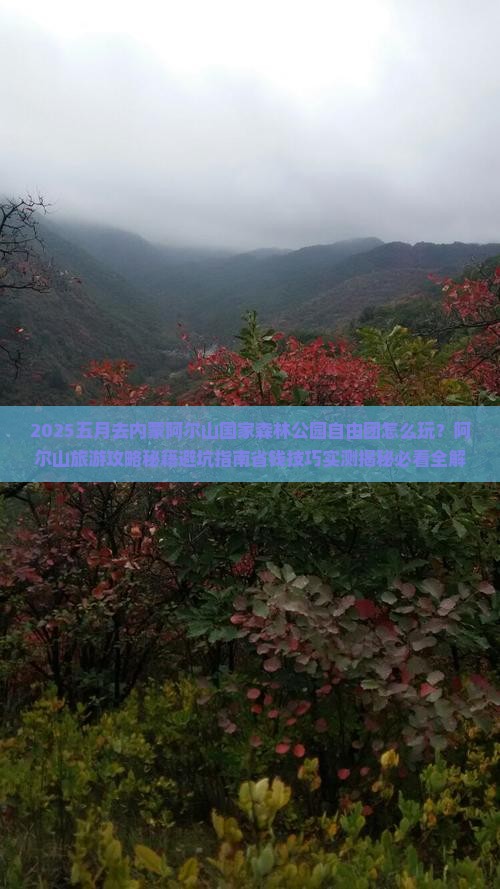 五月去内蒙阿尔山国家森林公园自由团