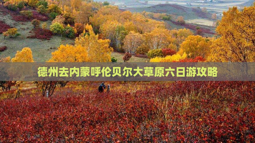 德州去内蒙呼伦贝尔大草原六日游