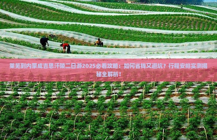 莱芜到内蒙成吉思汗陵二日游