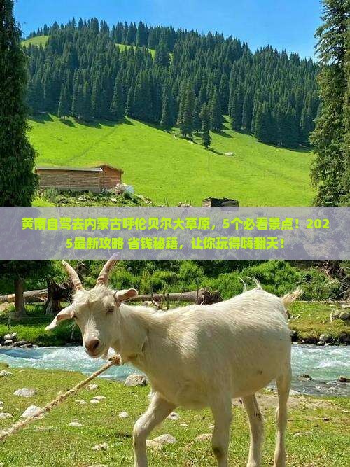 黄南到内蒙呼伦贝尔大草原哪里玩