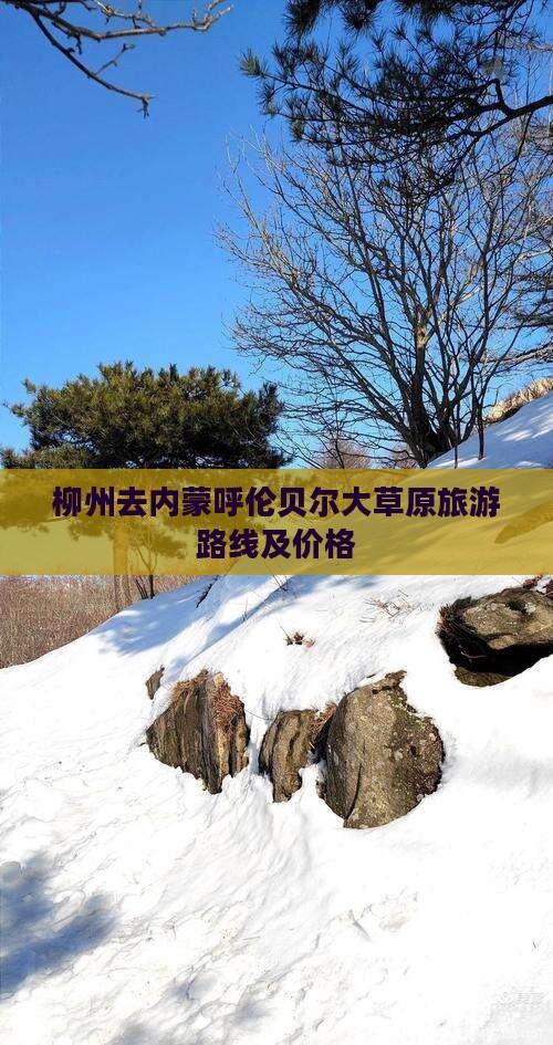 柳州去内蒙呼伦贝尔大草原旅游