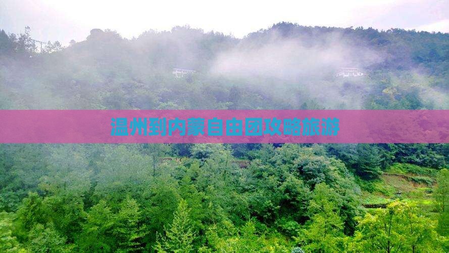 温州到内蒙自由团
