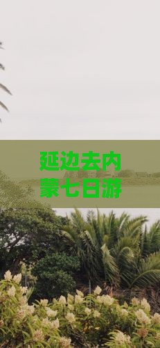延边去内蒙七日游