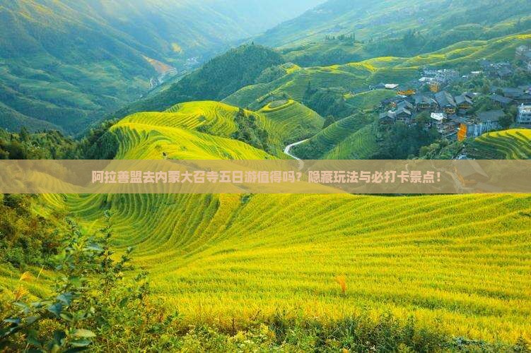 阿拉善盟去内蒙大召寺五日游