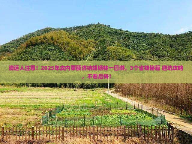 清远去内蒙额济纳胡杨林一日游