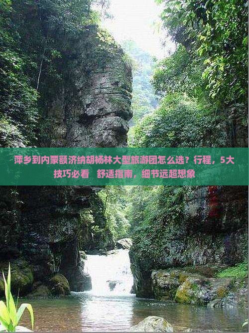 萍乡到内蒙额济纳胡杨林大型旅游团