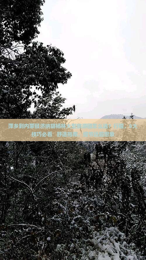萍乡到内蒙额济纳胡杨林大型旅游团