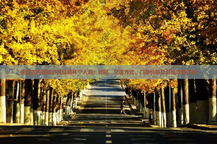 德阳去内蒙额济纳胡杨林个人游