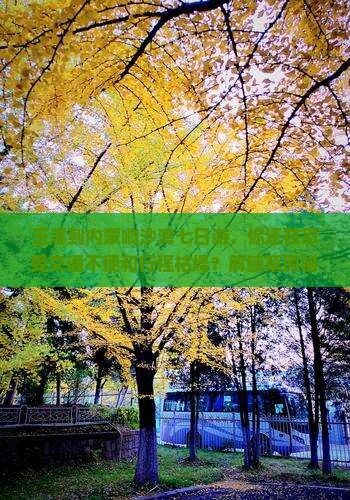 玉溪到内蒙响沙湾七日游