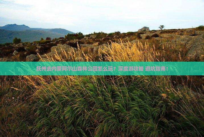 抚州去内蒙阿尔山国家森林公园团体旅游
