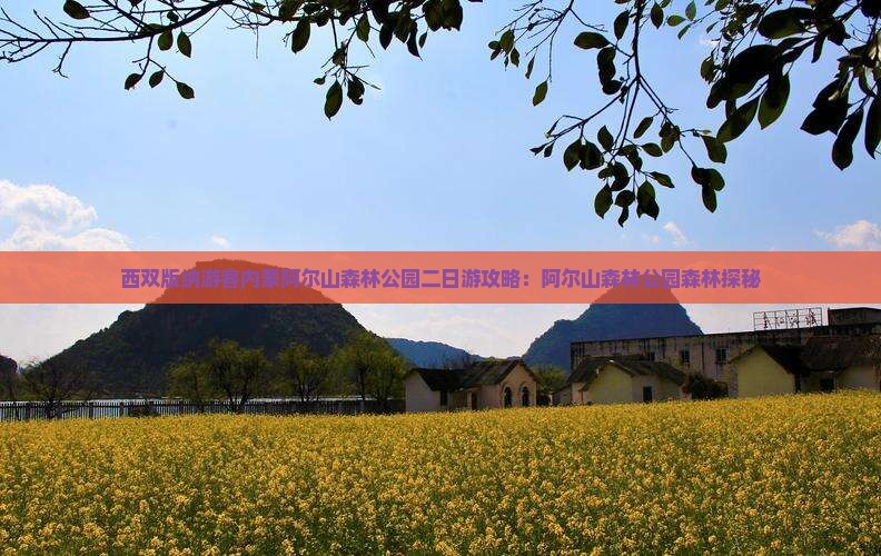 西双版纳去内蒙阿尔山国家森林公园二日游