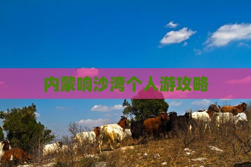 葫芦岛去内蒙响沙湾个人游
