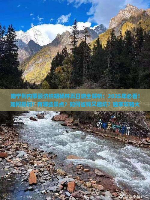 南宁到内蒙额济纳胡杨林五日游