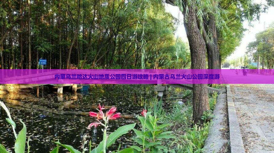 中卫到内蒙乌兰哈达火山地质公园四日游
