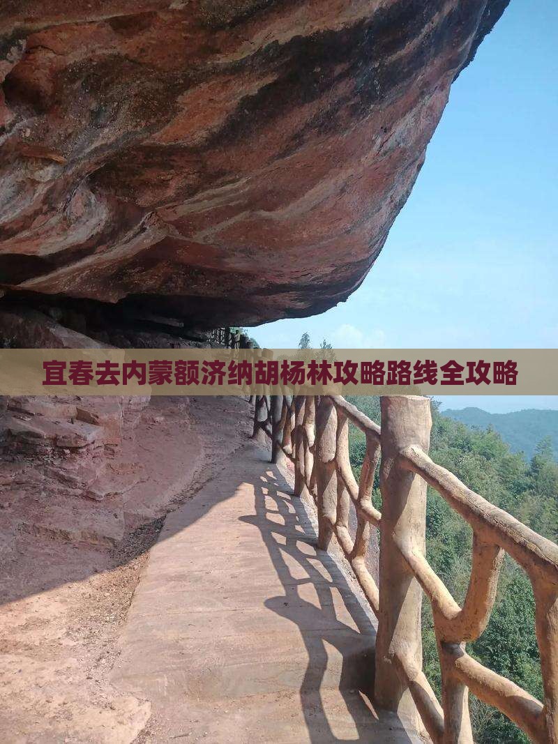 宜春去内蒙额济纳胡杨林攻略
