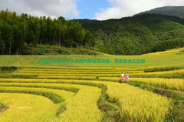 清明节去内蒙呼伦贝尔大草原三日游