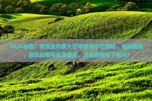 巢湖去内蒙大召寺旅游小吃